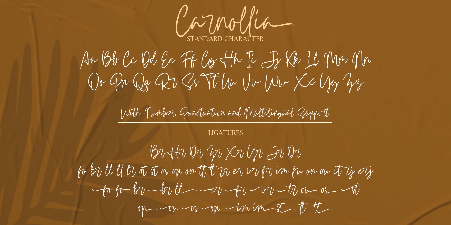 Beispiel einer Carnollia Signature Regular-Schriftart